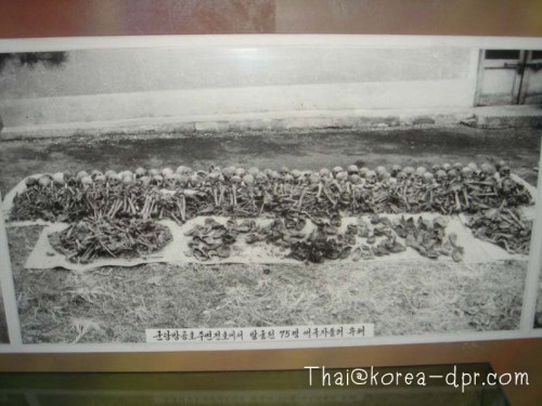 OgAAAP1IkF4Darmu1UNrG0P2GVQJNNkRwGoNbkGWBqhiLHLfG7gvbA47jfG0HTGeXRuYObzf-FEv1VTLbB5CxDOqkeUAm1T1UHiupigtQYOBtQyJE4_8Dr447PvH