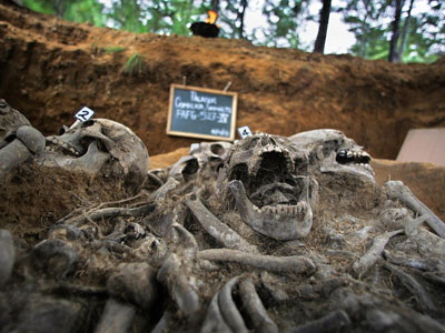 guatamala2-mass-grave-2005