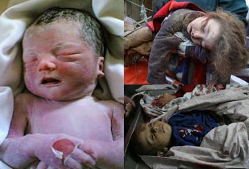 mayan-zc8swb-13b62v8